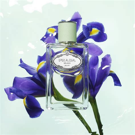 perfume like prada iris|prada iris perfume sephora.